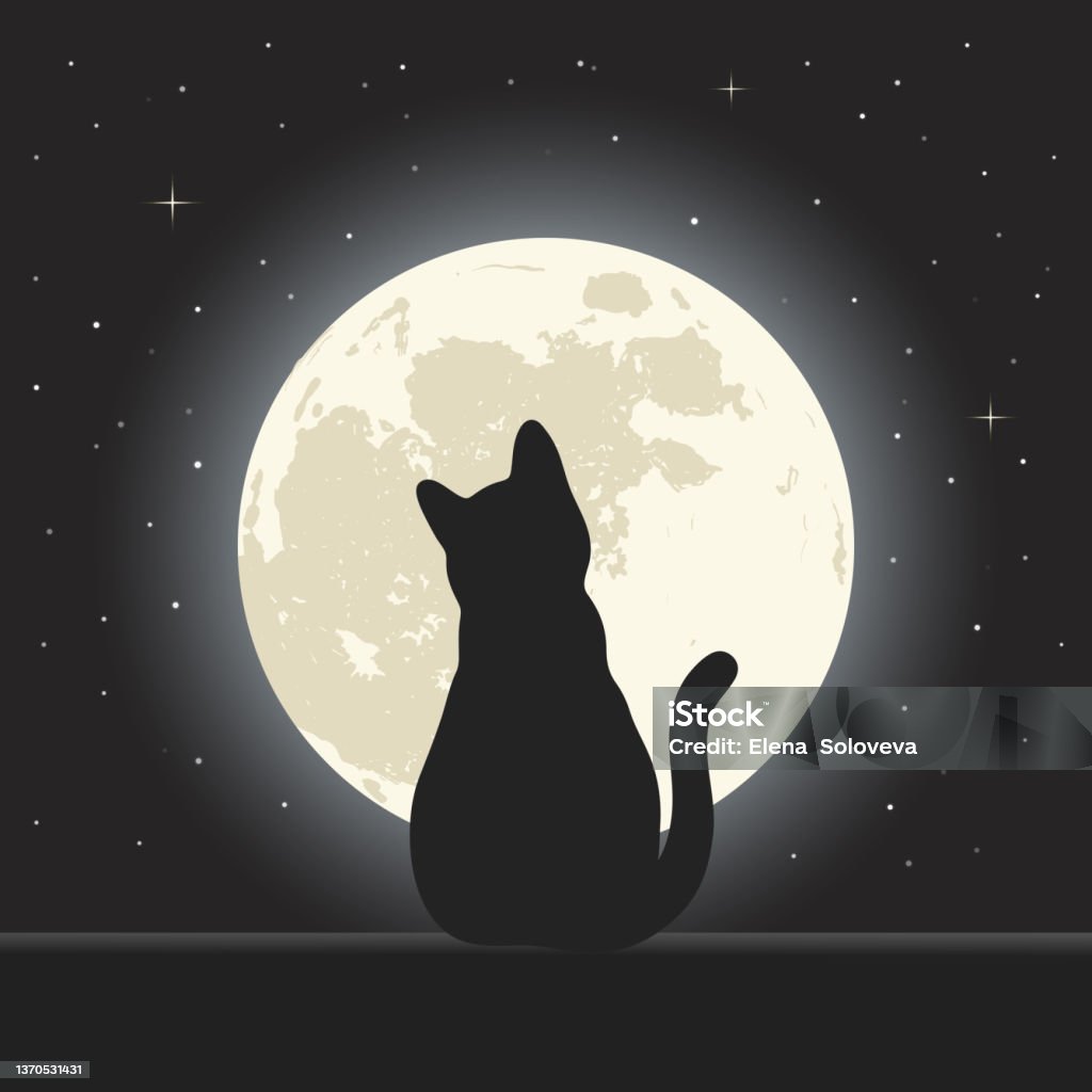 Illustration of a cat on a background of the night sky with stars and the moon Moon stock vector